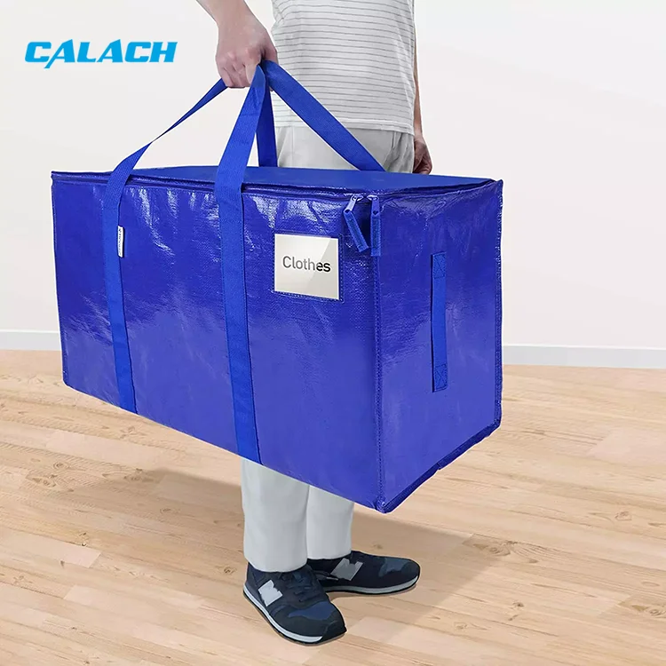 Custom Supermarket Foldable pp Woven Bag Recycled Reusable Grocery Moving Bag for Women