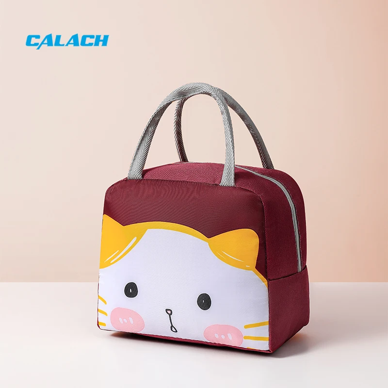 Insulated Reusable Lunch Tote Bag Women Men Work School Picnic Refrigerated Durable Leakproof Food Storage Cooler Bag