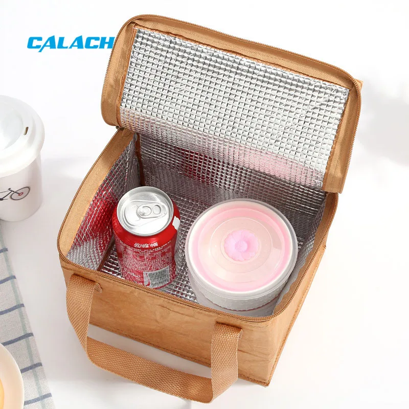 Tyvek Paper Plain Kids Lunch Bags Reusable Raw Insulated Natural Fit and Fresh Tyvek Lunch Bag for Woman