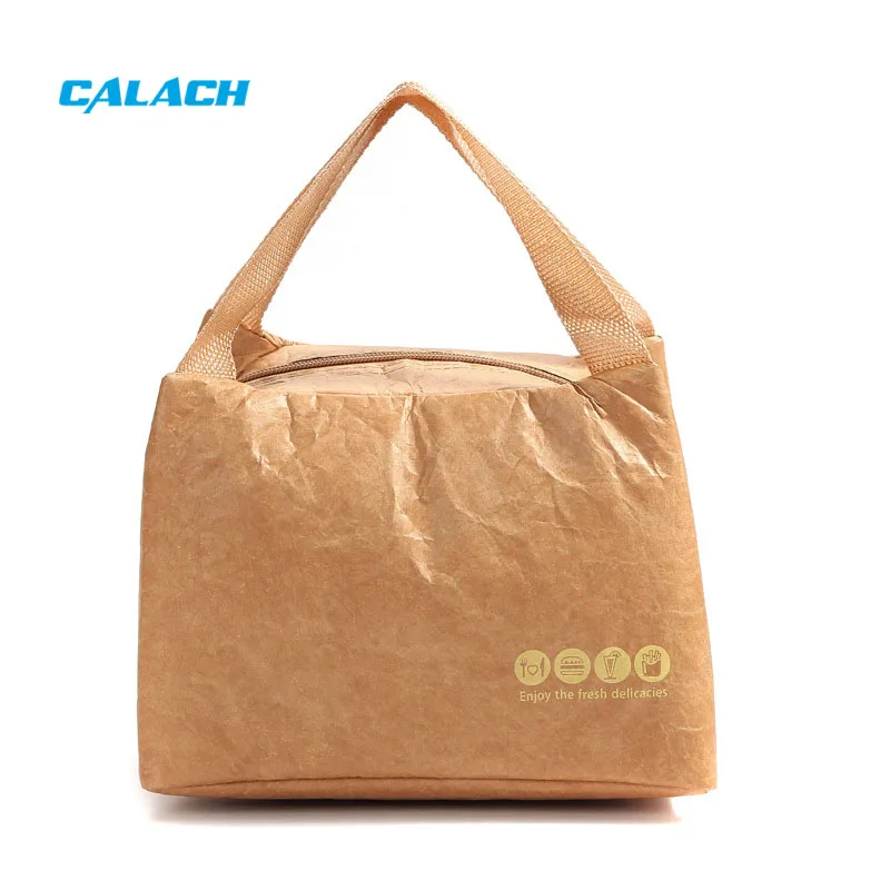 Tyvek Paper Thermoal Insulation Eco Picnic Cooler Bag 2 Persons Zipper Insulated Lunch Bag with logo